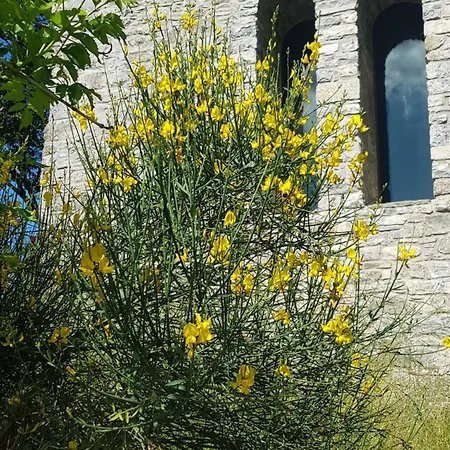 La Chiesa By Interhome Bosco (Parma)
